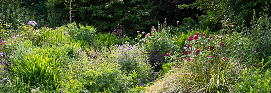 Bunter Staudengarten